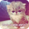 GJlTuhS_by_achestickbot 15