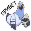 Michael the Pigeon (Part 1) 19