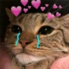 Manu's Choice 29 19