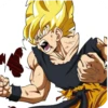 Goku and Kakarott 15