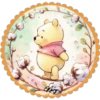 Winnie Pooh ✺1🇻🇪 21