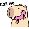 Pipi Capybara #2 20