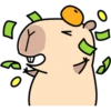 Pipi Capybara #2 21