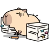 Pipi Capybara #2 22