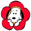PEANUTS 25