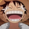 Monkey D Luffy 13