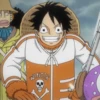 Monkey D Luffy 14