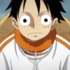Monkey D Luffy 15