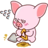 Cutie Pig 1 23