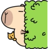 Pipi Capybara #2 28