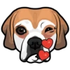 Daisy 10