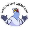 Michael the Pigeon (Part 1) 25