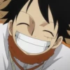 Monkey D Luffy 17