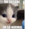 MayMay English 28