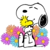 PEANUTS 29