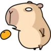 Pipi Capybara #2 30