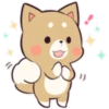 Pretty Puppy 5 30
