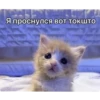 GJlTuhS_by_achestickbot 30
