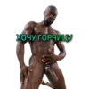 BLACK FULL 2018-2022 5