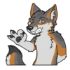 IndigoFox 6