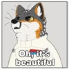 IndigoFox 9