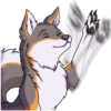 IndigoFox 10