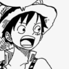 Luffy 9