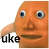 Laranjo_1 6