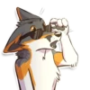 IndigoFox 12