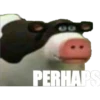 haha memes go brrrrrrrrrrrrrrr 11