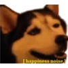 haha memes go brrrrrrrrrrrrrrr 12