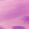 Created by 16