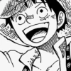 Luffy 15