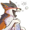 IndigoFox 15