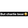 charlie bear 10