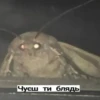 Random shit by 9