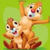 🐴🐈🐕Animalitos tiernos 2🐴🐈 14
