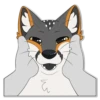 IndigoFox 17