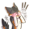 IndigoFox 18
