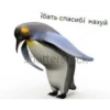 Random shit by 10