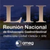 AMEG 6