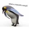 Стики 5749 из 18