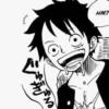 Luffy 19