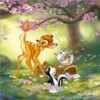 🐴🐈🐕Animalitos tiernos 2🐴🐈 19