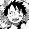 Luffy 20