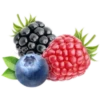 summer food 18