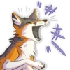 IndigoFox 24