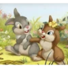 🐴🐈🐕Animalitos tiernos 2🐴🐈 24