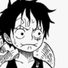 Luffy 22