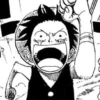 Luffy 23